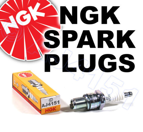 Ngk zündkerze für - ngk,